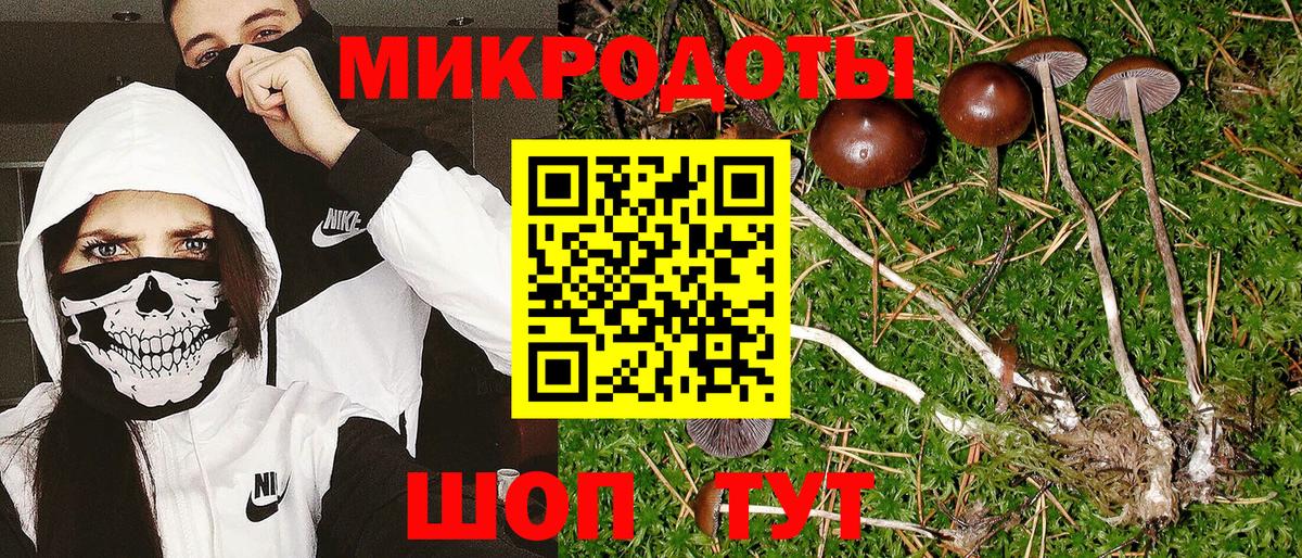 Псилоцибиновые грибы GOLDEN TEACHER Коряжма