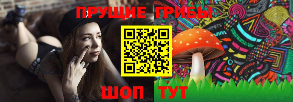 Галлюциногенные грибы Psilocybe  Вход с VPN  Псилоцибиновые грибы Psilocybine cubensis  Коряжма 